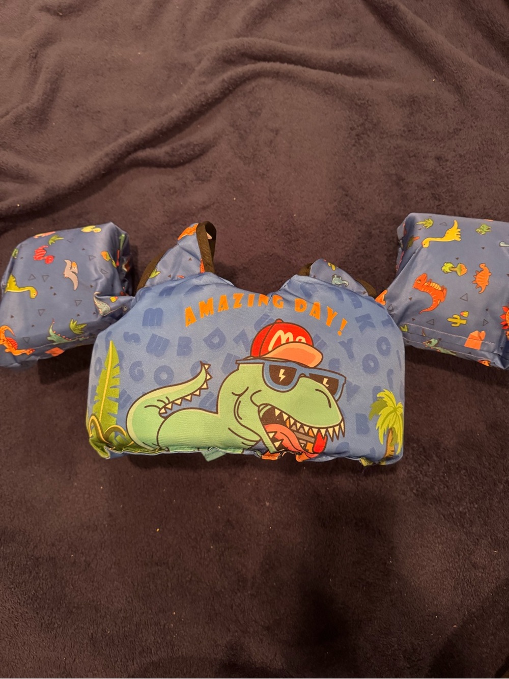Kids Blue Dino Swim Arm Floaties - Amazing Day